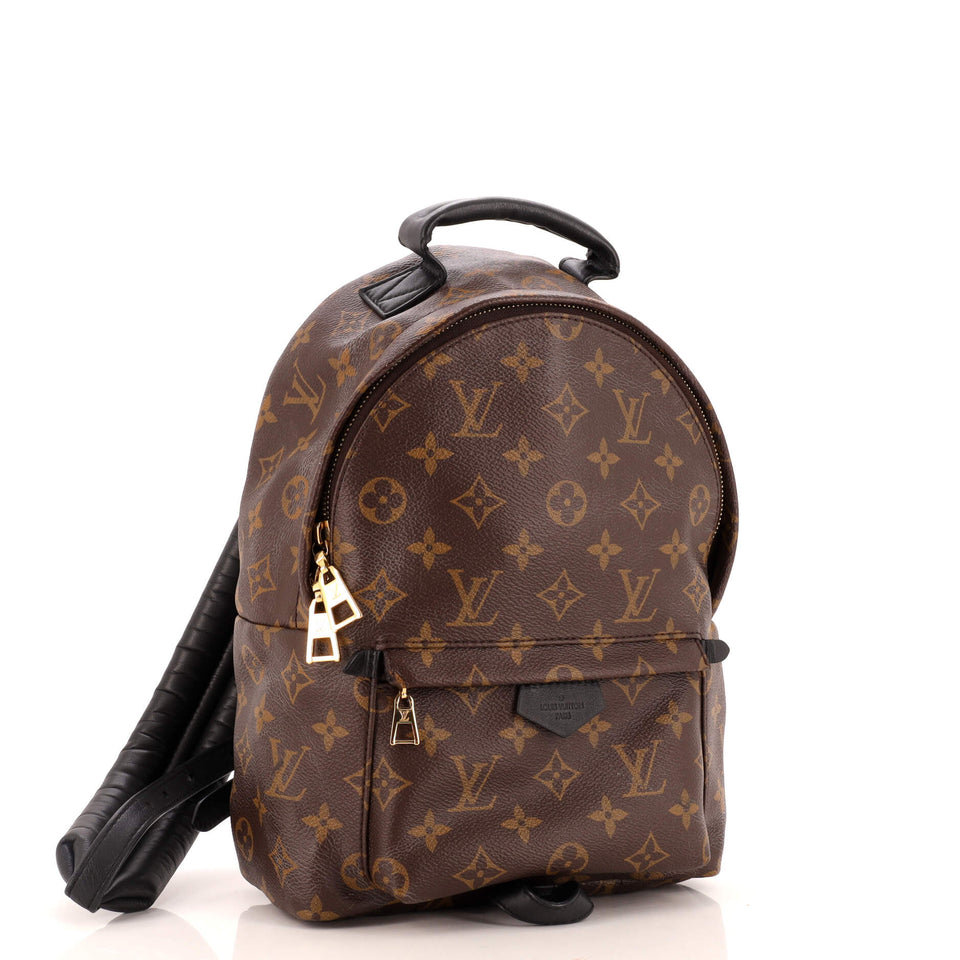 Louis Vuitton Palm Springs Backpack Monogram Canvas PM