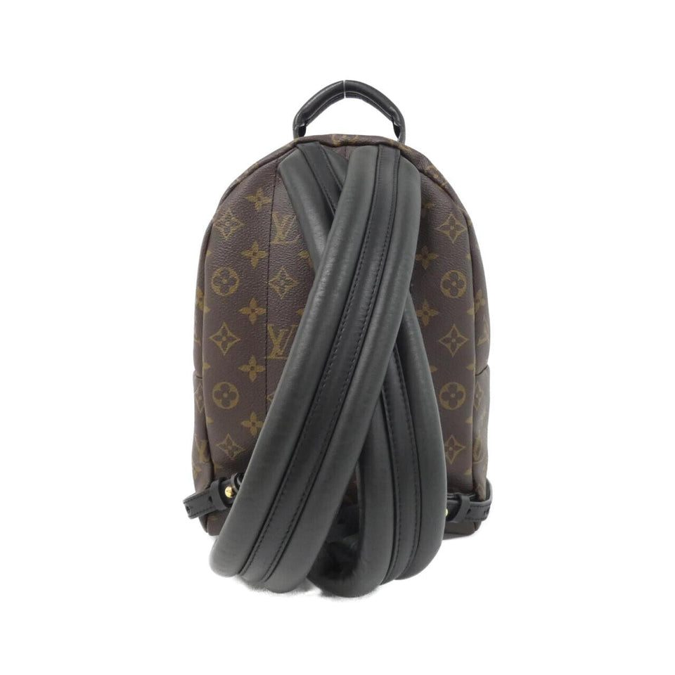 Louis Vuitton Palm Springs Monogram Backpack