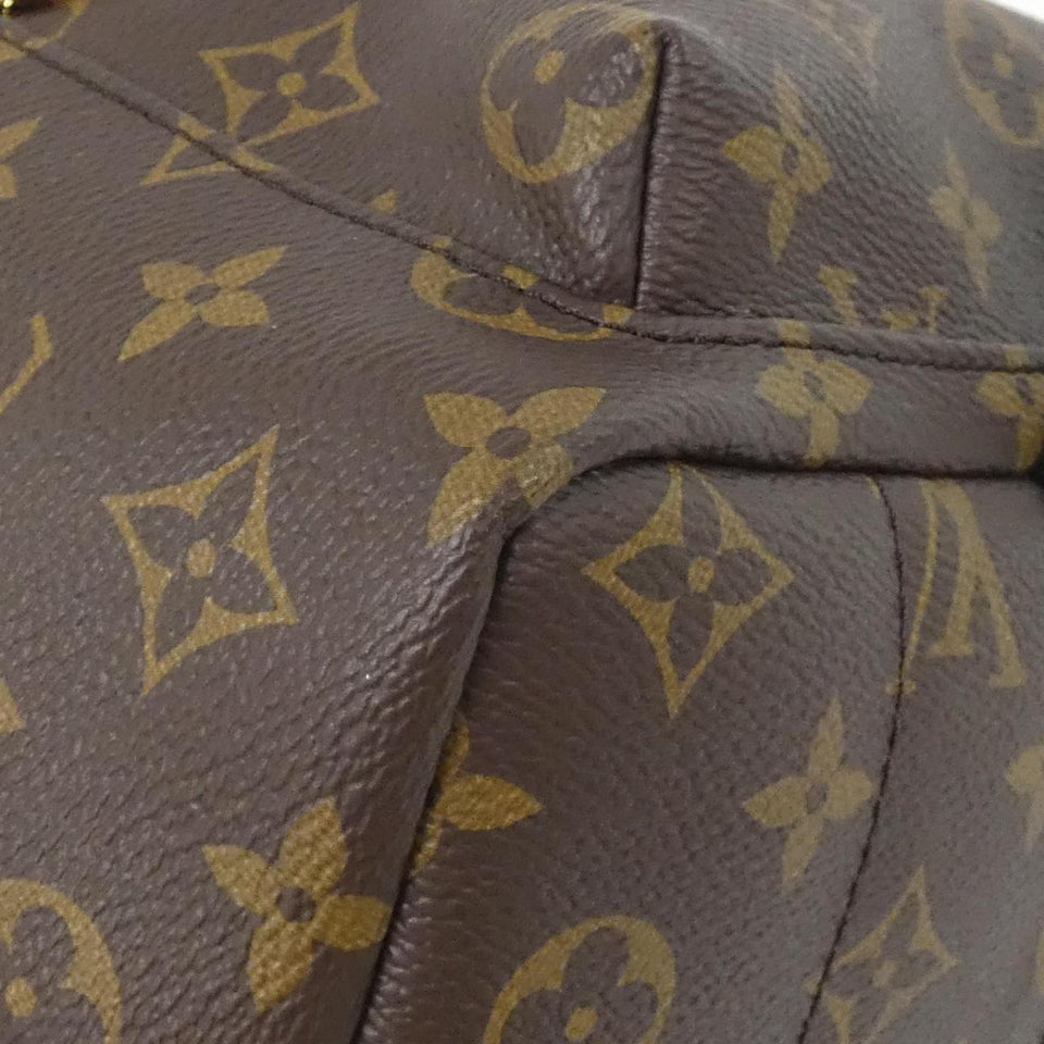 Louis Vuitton Palm Springs Monogram Backpack