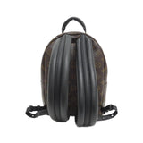 Louis Vuitton Palm Springs Monogram Backpack