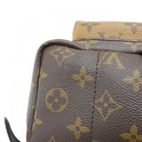Louis Vuitton Palm Springs Monogram Backpack
