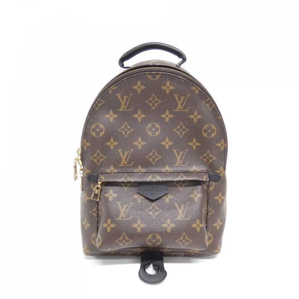 Louis Vuitton Palm Springs Backpack Monogram Backpack