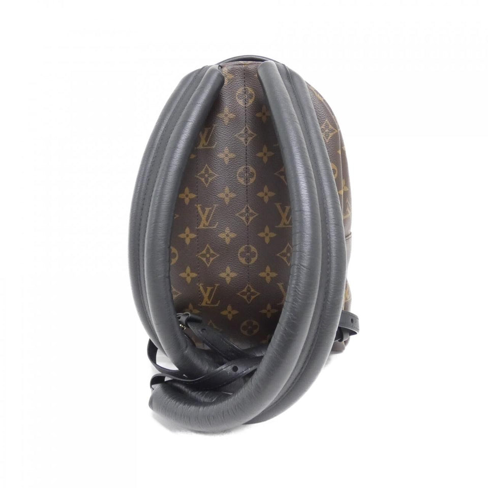 Louis Vuitton Palm Springs Backpack Monogram Backpack