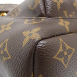 Louis Vuitton Palm Springs Backpack Monogram Backpack