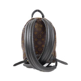 Louis Vuitton Palm Springs Monogram Reverse Backpack