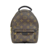 Louis Vuitton Palm Springs Monogram Backpack