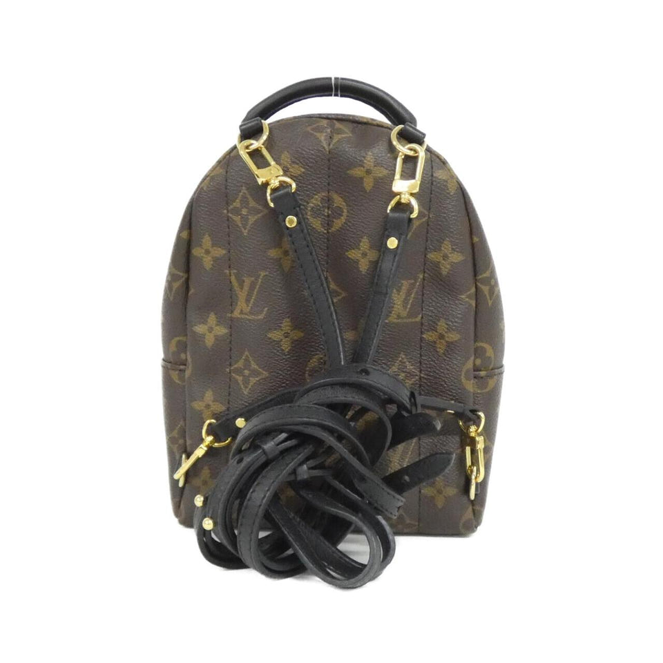 Louis Vuitton Palm Springs Monogram Backpack