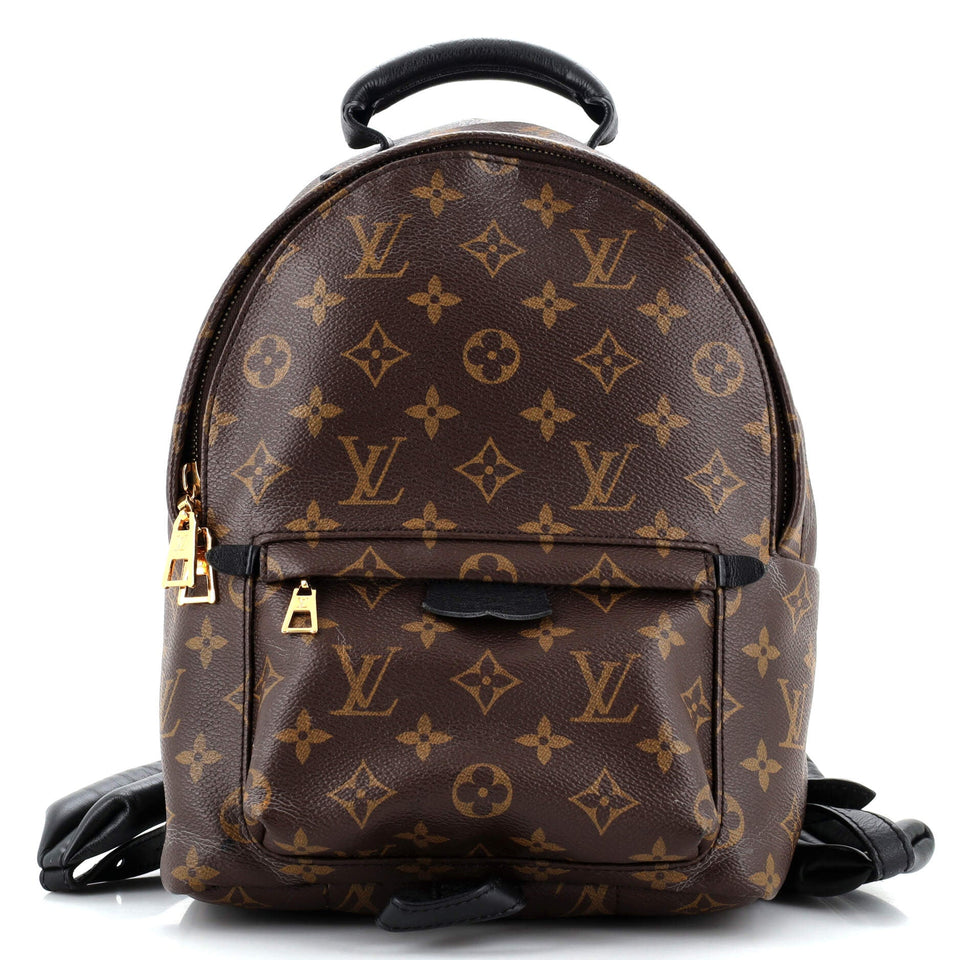 Louis Vuitton Palm Springs Backpack Monogram Canvas PM