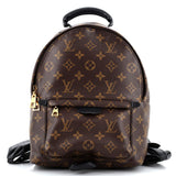 Louis Vuitton Palm Springs Backpack Monogram Canvas PM