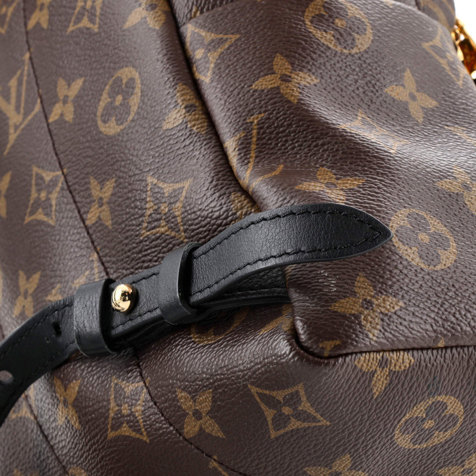 Louis Vuitton Palm Springs Backpack Monogram Canvas PM