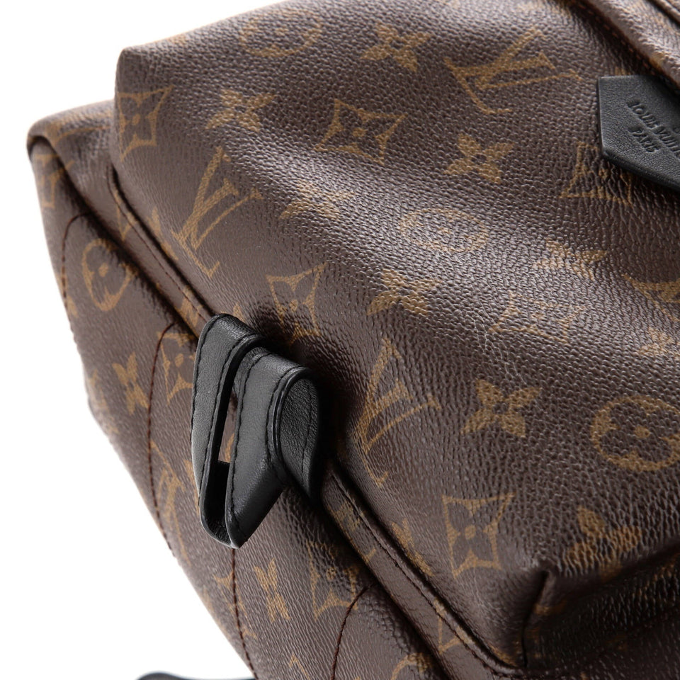 Louis Vuitton Palm Springs Backpack Monogram Canvas MM