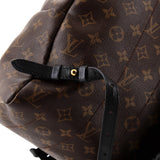 Louis Vuitton Palm Springs Backpack Monogram Canvas MM