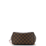 Louis Vuitton Clapton Backpack Damier and Leather