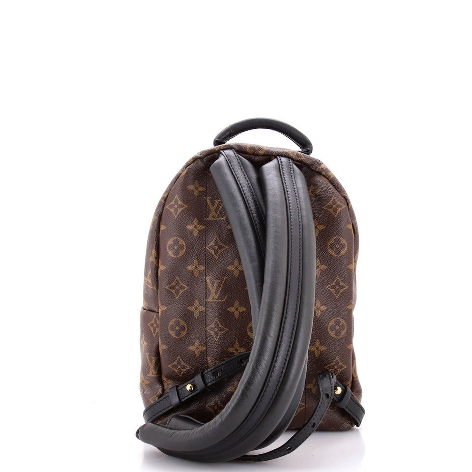 Louis Vuitton Palm Springs Backpack Monogram Canvas PM