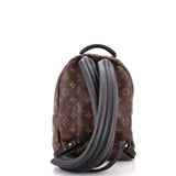 Louis Vuitton Palm Springs Backpack Monogram Canvas PM
