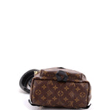 Louis Vuitton Palm Springs Backpack Monogram Canvas PM