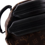 Louis Vuitton Palm Springs Backpack Monogram Canvas PM