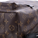 Louis Vuitton Palm Springs Backpack Monogram Canvas PM