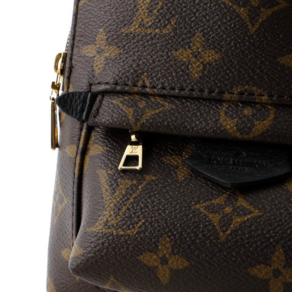 Louis Vuitton Palm Springs Backpack Monogram Canvas Mini