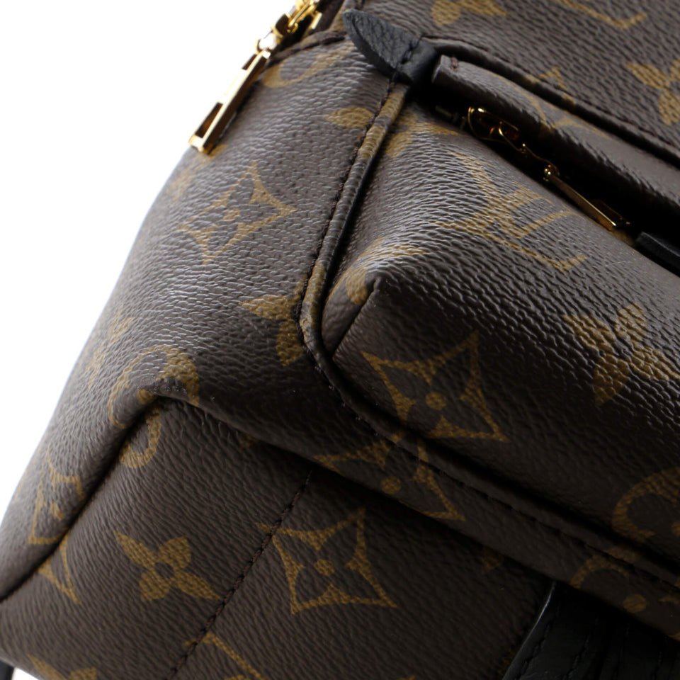 Louis Vuitton Palm Springs Backpack Monogram Canvas Mini