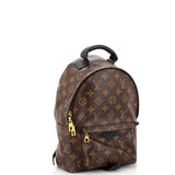 Louis Vuitton Palm Springs Backpack Monogram Canvas PM