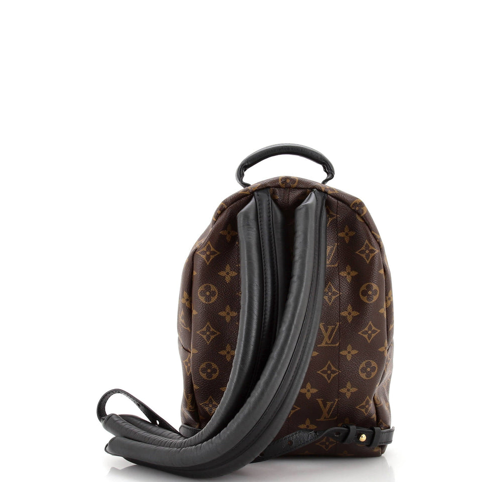 Louis Vuitton Palm Springs Backpack Monogram Canvas PM
