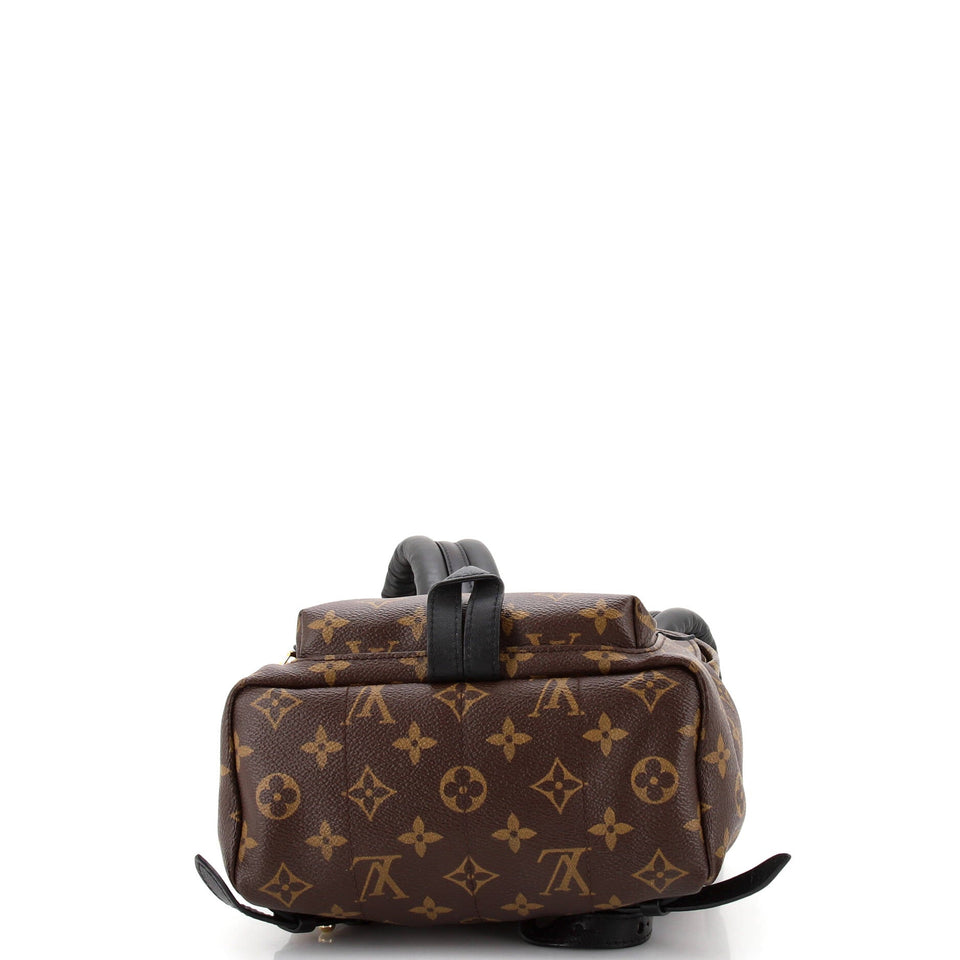 Louis Vuitton Palm Springs Backpack Monogram Canvas PM