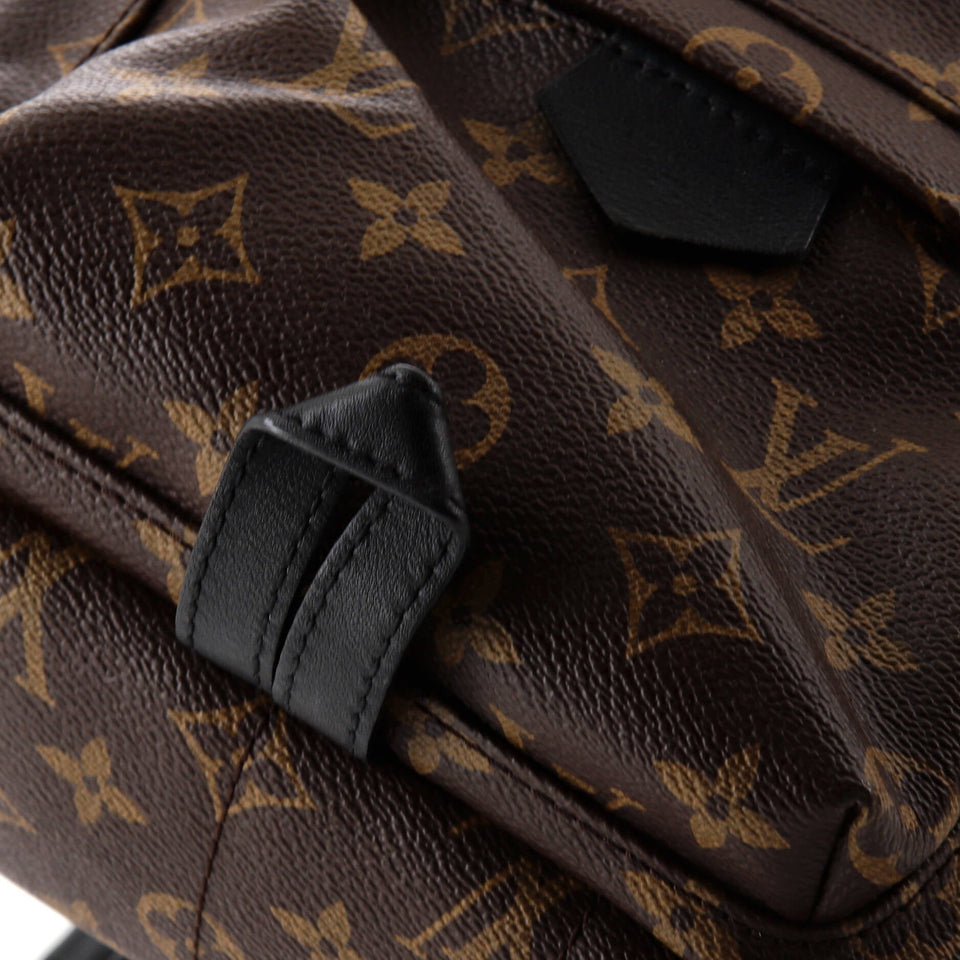 Louis Vuitton Palm Springs Backpack Monogram Canvas PM