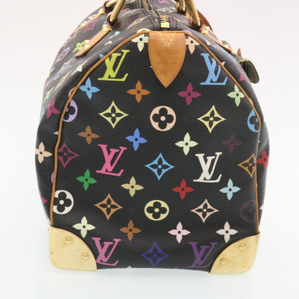 Louis Vuitton Multicolor Hand Bag LV 28793A