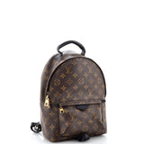 Louis Vuitton Palm Springs Backpack Monogram Canvas PM