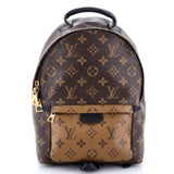 Louis Vuitton Palm Springs Backpack Reverse Monogram Canvas PM