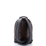 Louis Vuitton Palm Springs Backpack Reverse Monogram Canvas PM