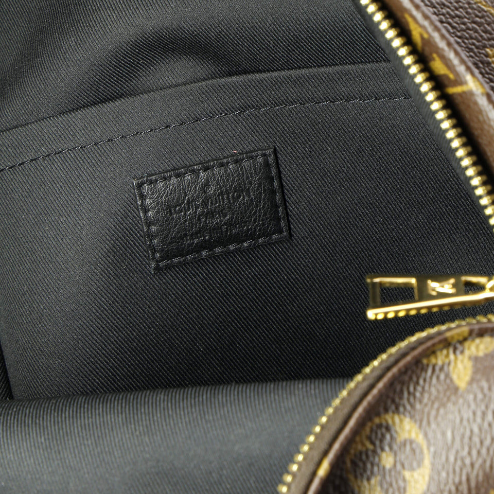Louis Vuitton Palm Springs Backpack Monogram Canvas PM