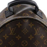 Louis Vuitton Palm Springs Backpack Monogram Canvas PM