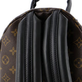 Louis Vuitton Palm Springs Backpack Monogram Canvas PM