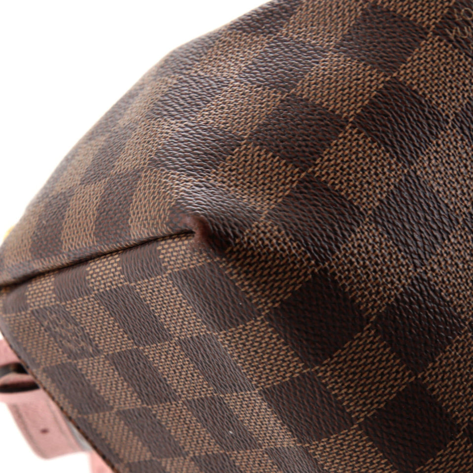 Louis Vuitton Clapton Backpack Damier and Leather