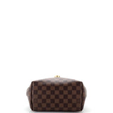 Louis Vuitton Clapton Backpack Damier and Leather