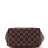 Louis Vuitton Clapton Backpack Damier and Leather