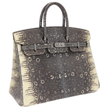 Hermes25cm Birkin Ombre Lizard Palladium Hardware