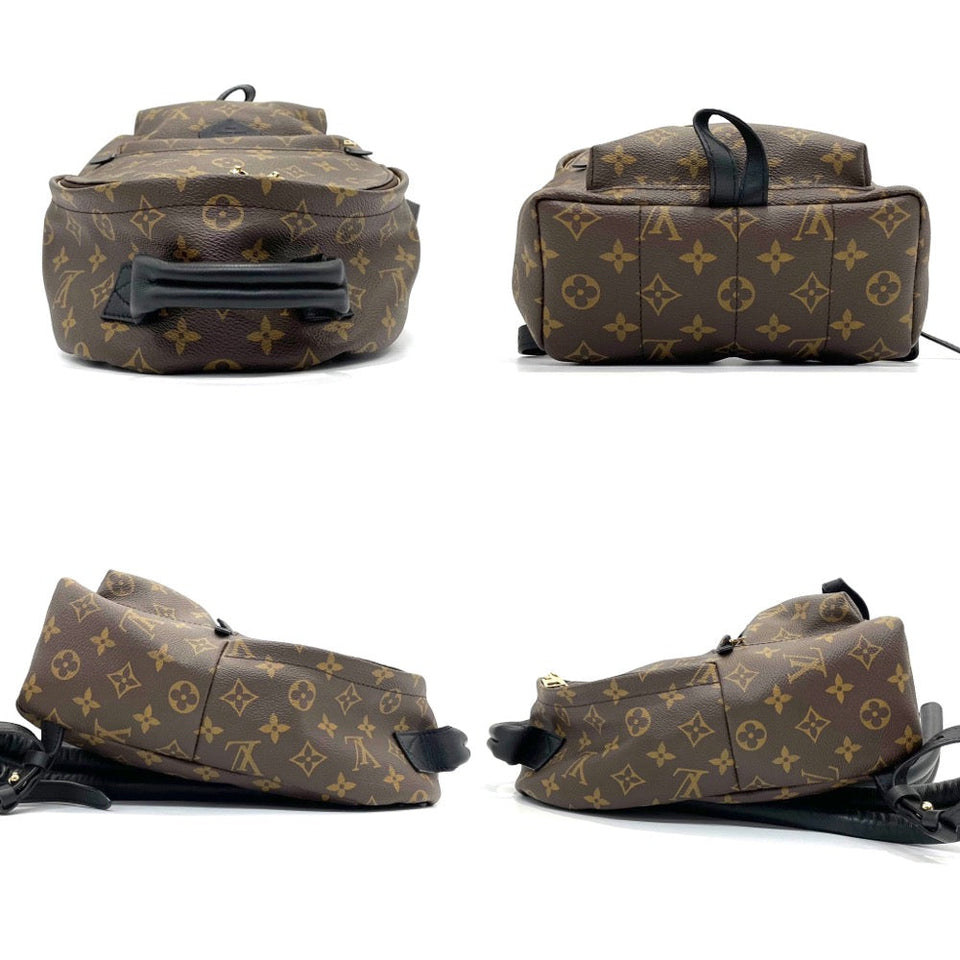 Louis Vuitton Rucksack Palm Springs Backpack PM Monogram Brown