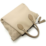 Louis Vuitton Haumea Galle 2way Bag