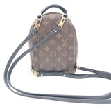 Louis Vuitton Palm Springs Mini Backpack Daypack