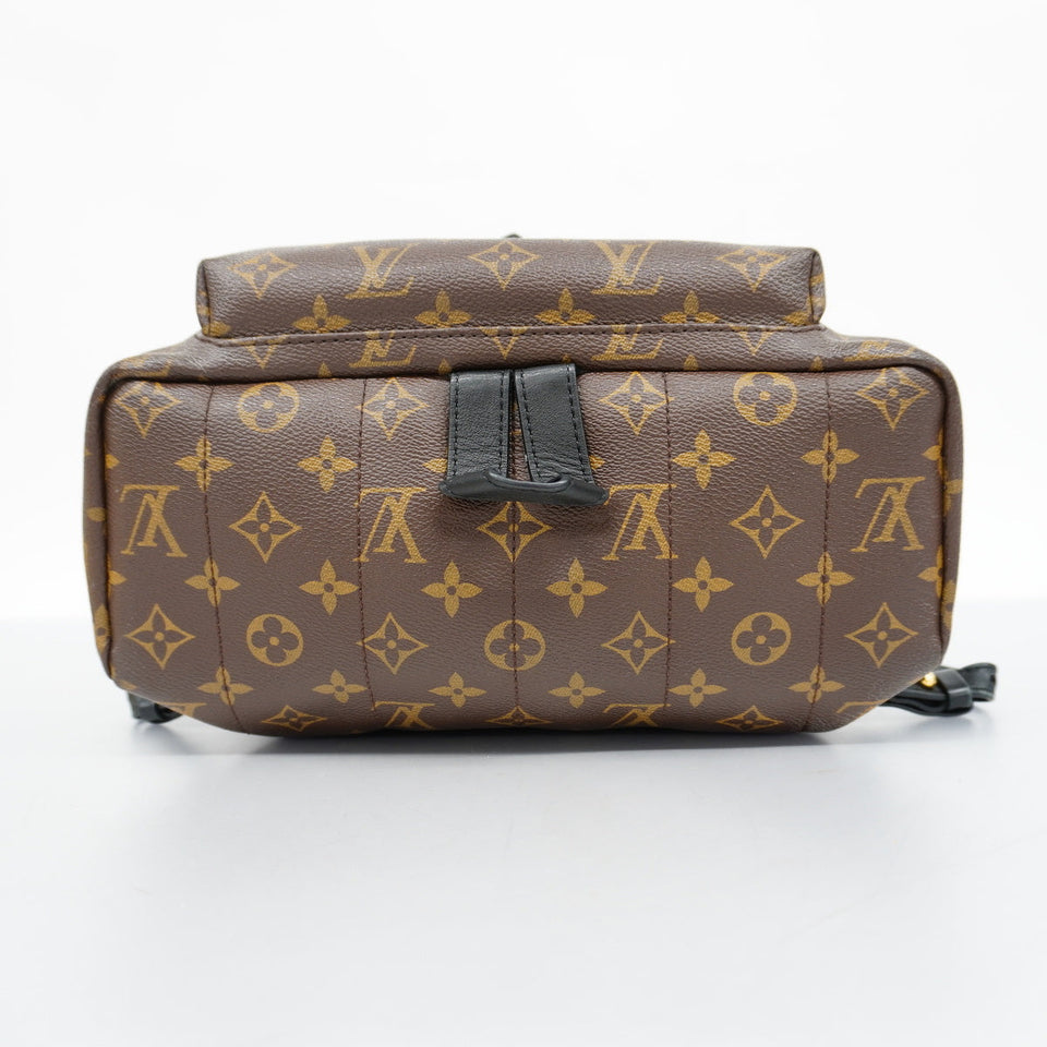 Louis Vuitton Rucksack Monogram Palm Spring MM