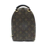 Louis Vuitton Monogram Palm Springs Backpack Mini Rucksack