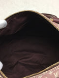 Louis Vuitton Speedy Bandoliere 30 Shoulder Bag Monogram