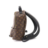 Louis Vuitton Monogram Palm Springs Backpack PM Backpack Brown