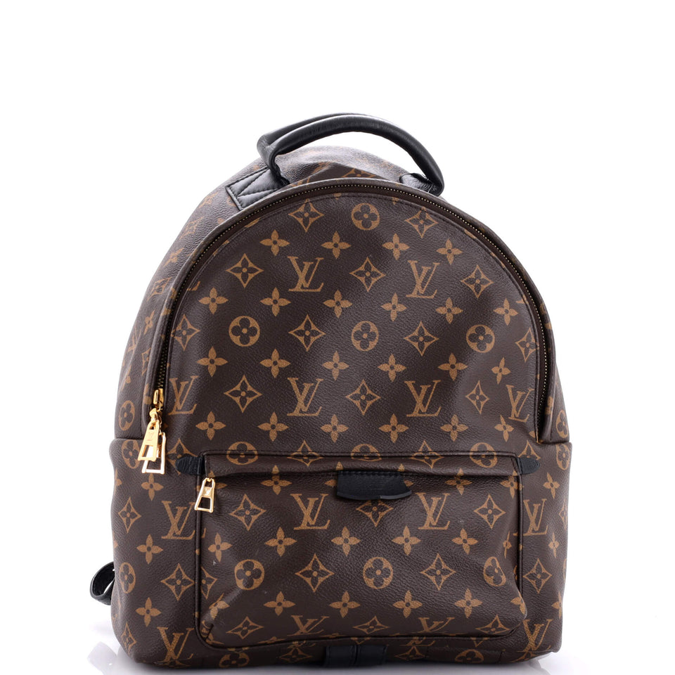 Louis Vuitton Palm Springs Backpack Monogram Canvas MM