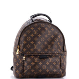 Louis Vuitton Palm Springs Backpack Monogram Canvas MM