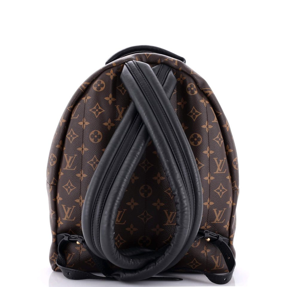 Louis Vuitton Palm Springs Backpack Monogram Canvas MM