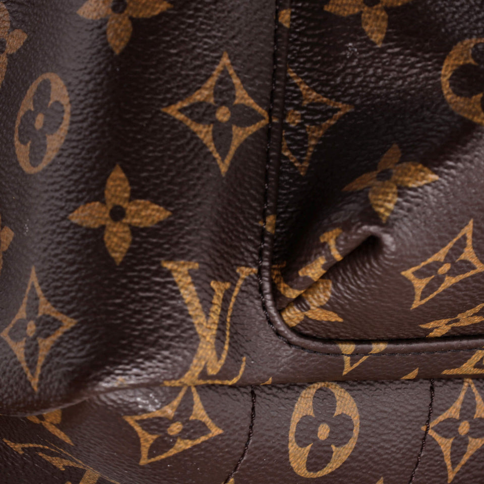 Louis Vuitton Palm Springs Backpack Monogram Canvas MM